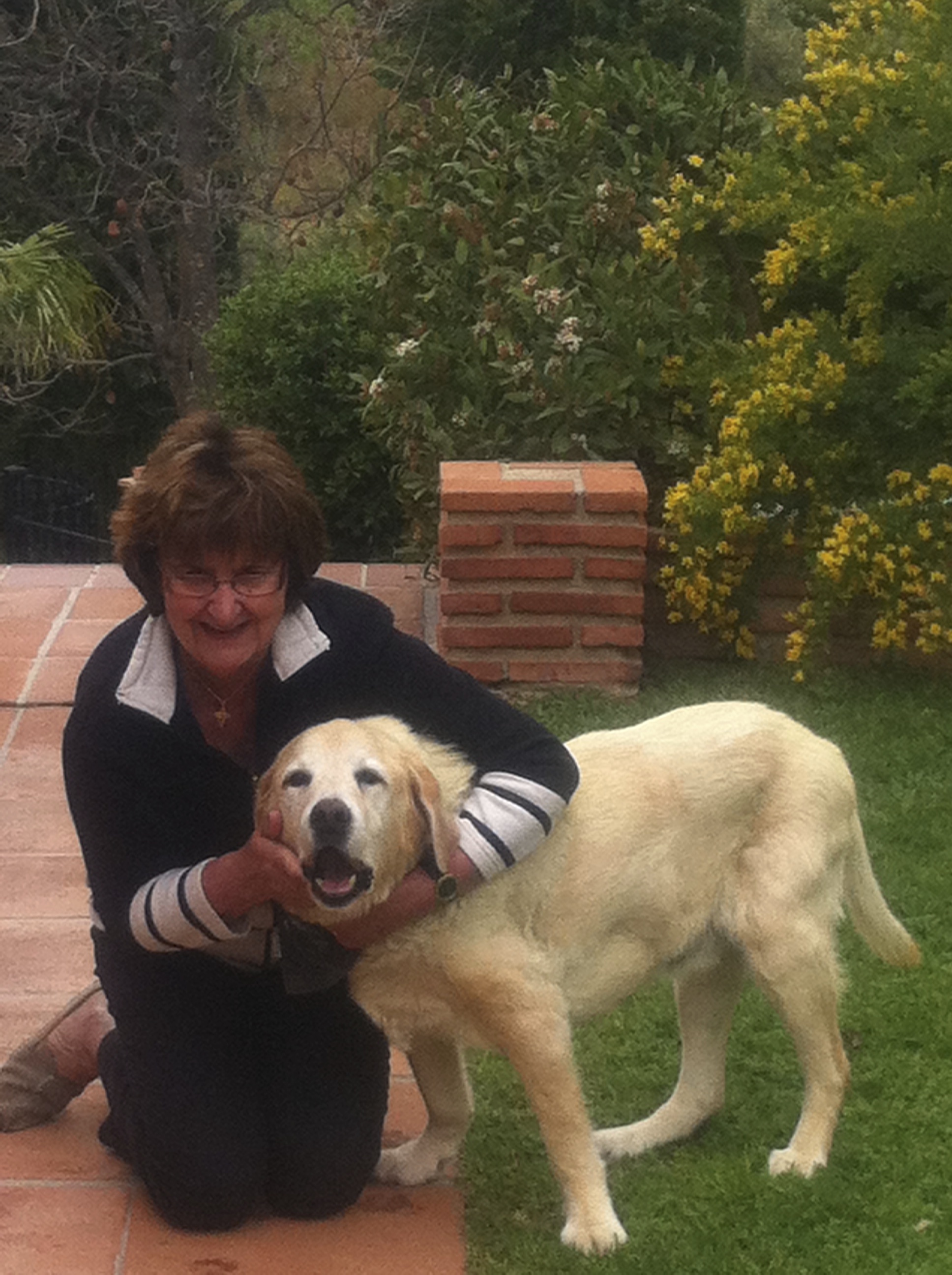 ffc66de8-360a-442d-83e0-aca4c71f1502