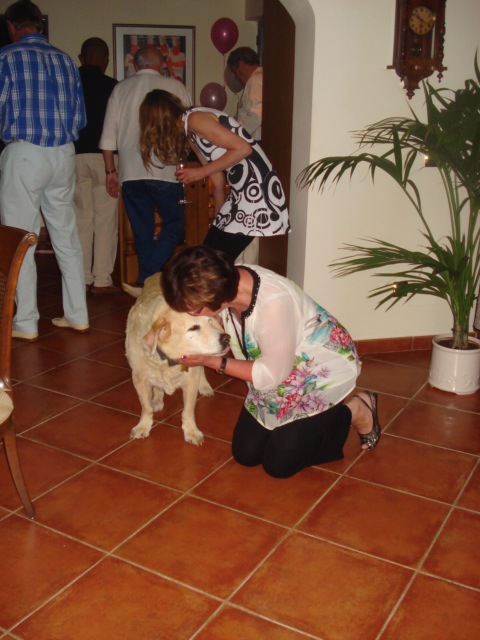 646abb8c-f22e-4eb1-b17c-c083a4223c23