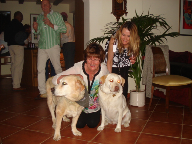 176db8cb-ca0f-479b-aaca-c52027cc67b4