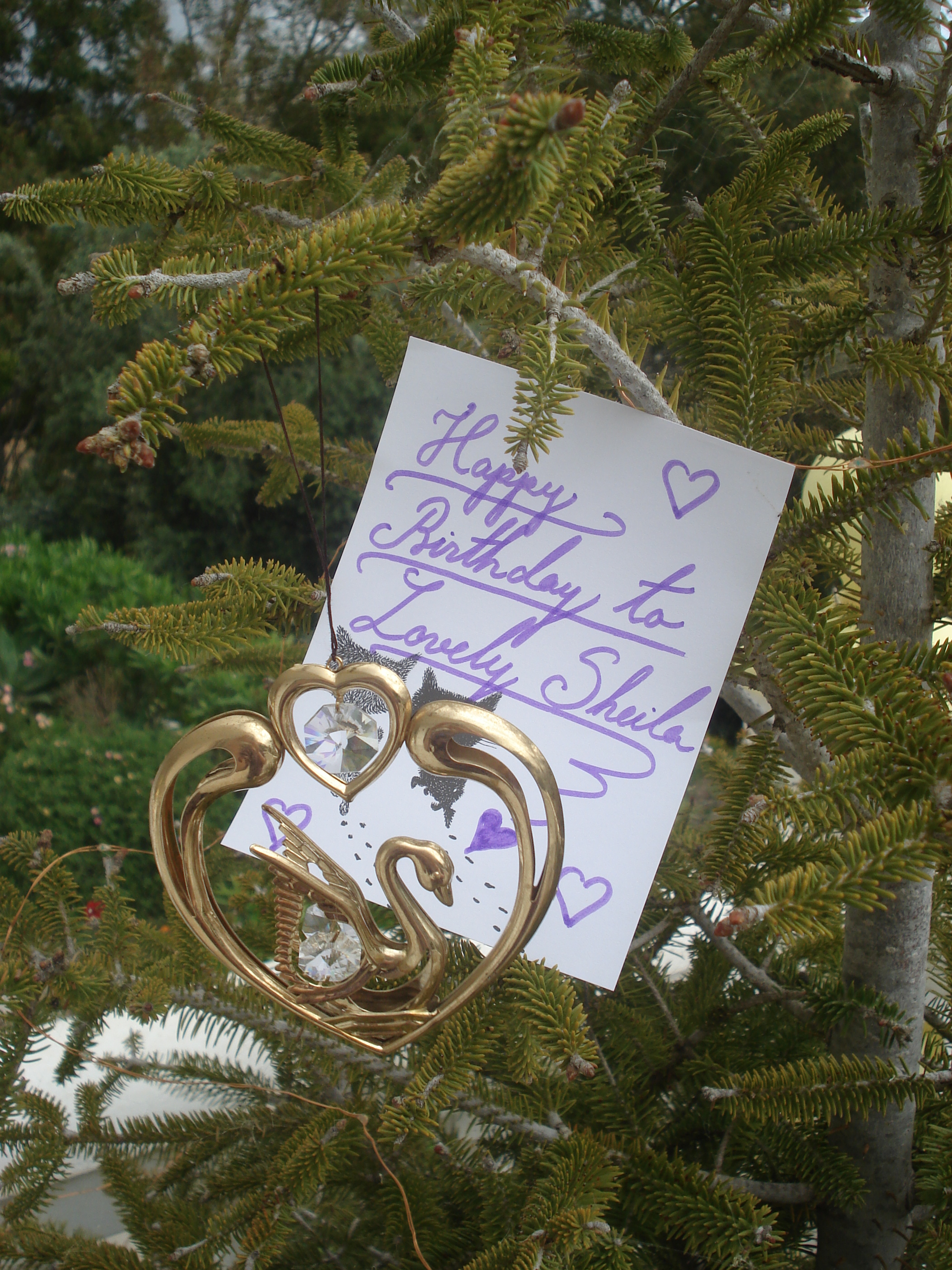 57e787d1-1090-44ec-a17e-f6955a08825e