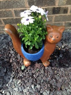 8f2ac54f-4e3b-444f-b8ac-210138b0cf0b