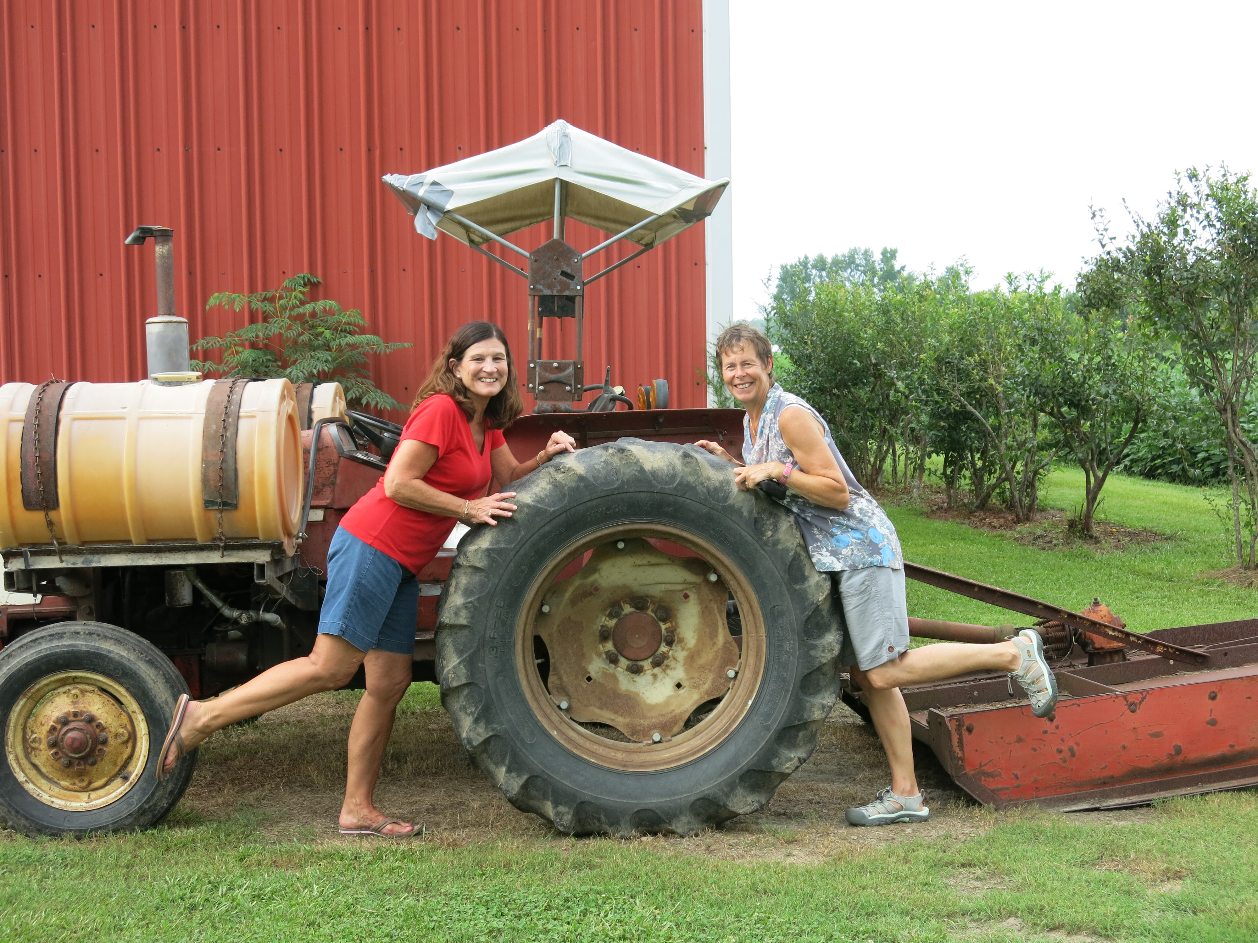 710cd476-c359-4db0-96f0-0b1130455b84