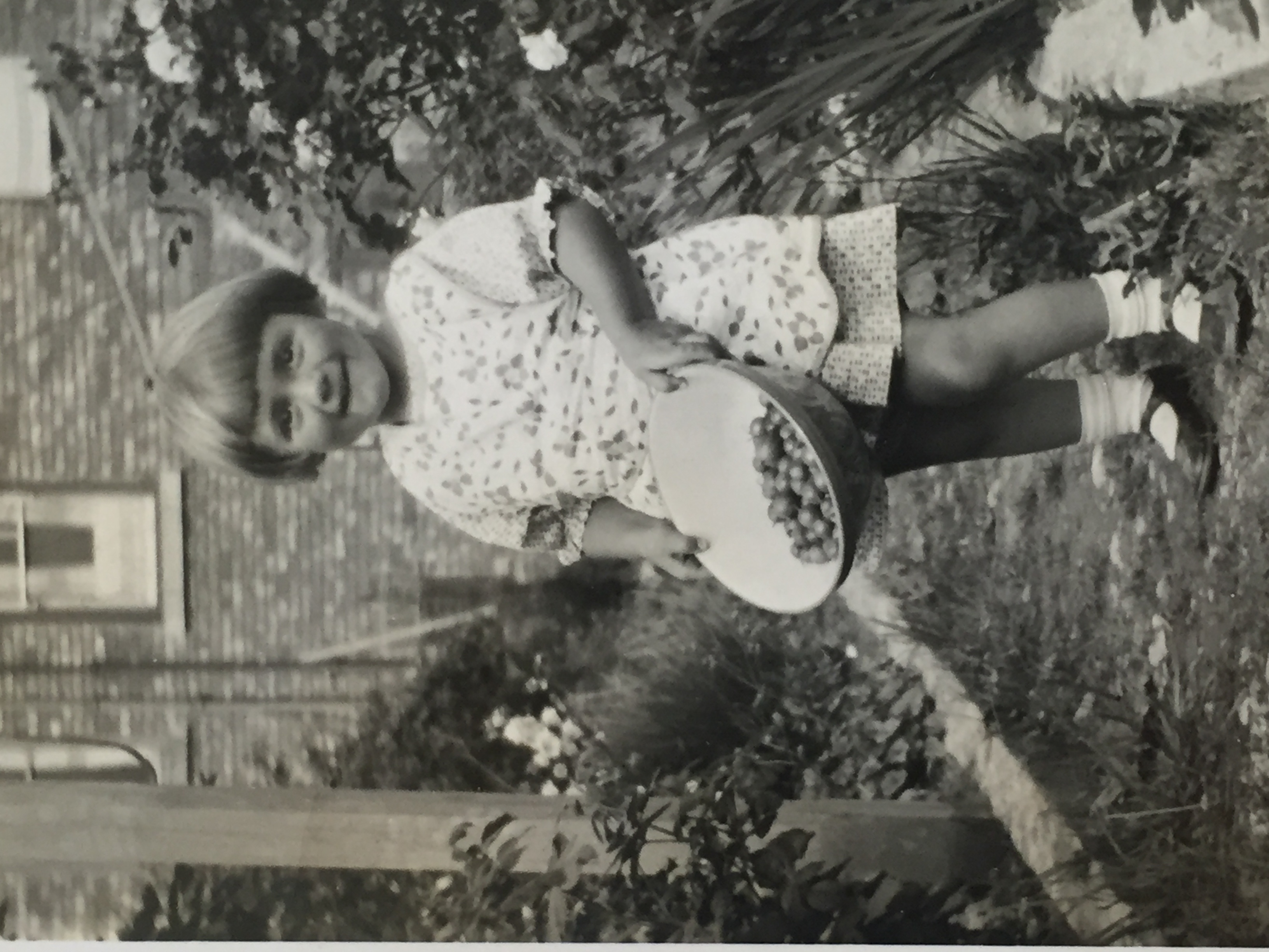 60c70481-feea-4449-b18f-814dfc482d13