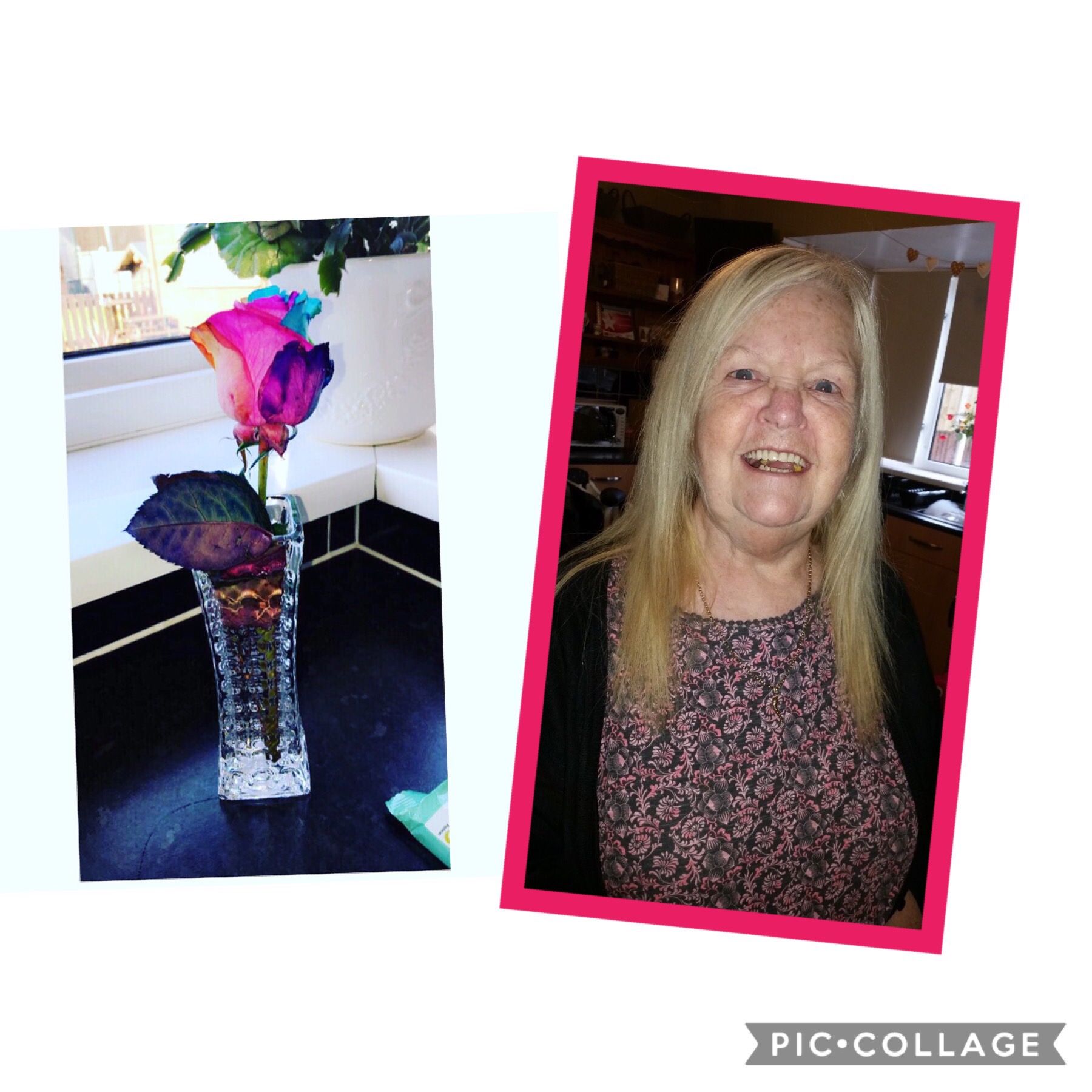 e77f0716-5a8b-4897-a5fe-dca9bd0f4214