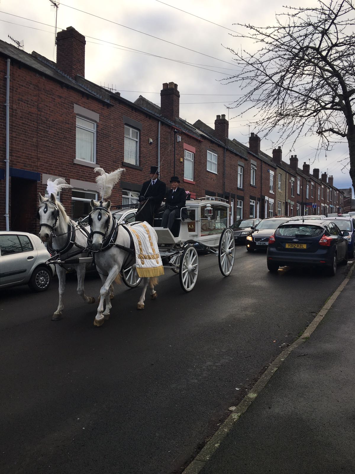 8a881ff9-c0e7-43a5-960e-e0fb62f3dbed