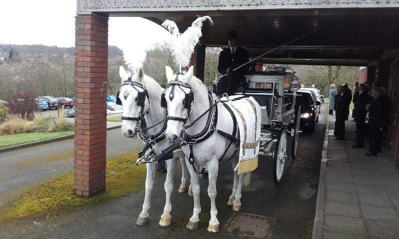 83d9755a-30e6-4a69-9efa-b6d53550bed3