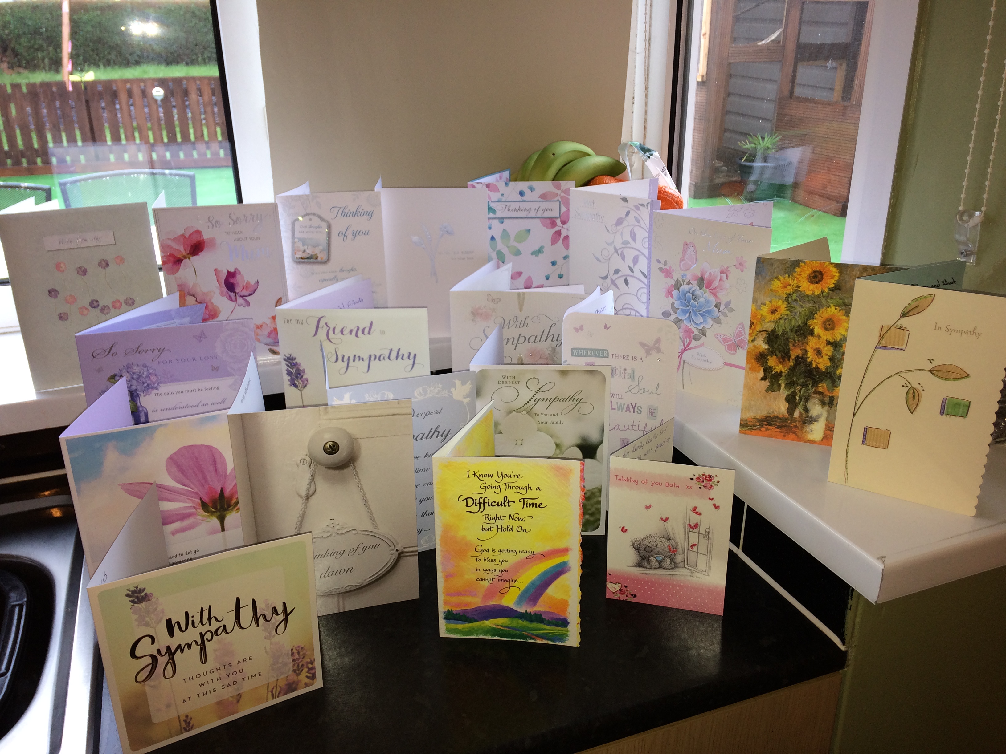 481f43e9-7a91-4b78-b6c2-c8c5a2993563