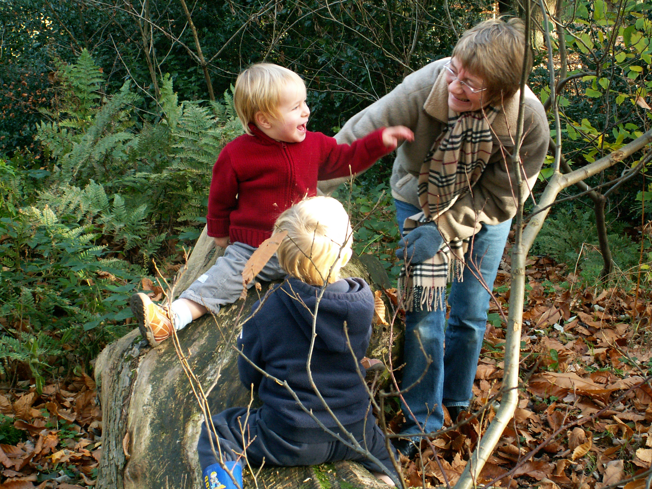 e6f61b52-03dc-486b-99dc-637f541aec67