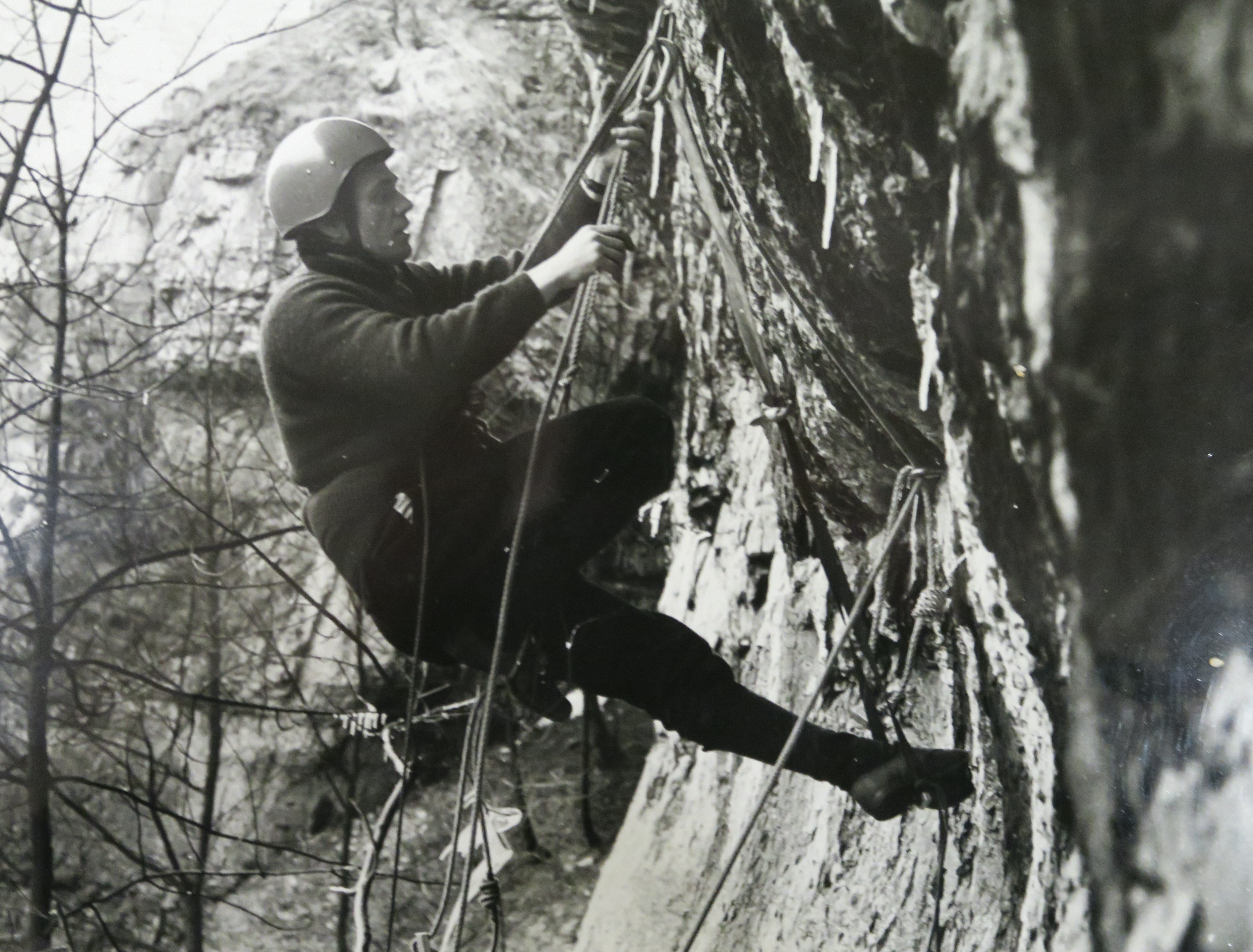 55b364c1-7023-449d-80ea-0e6c266ab72a