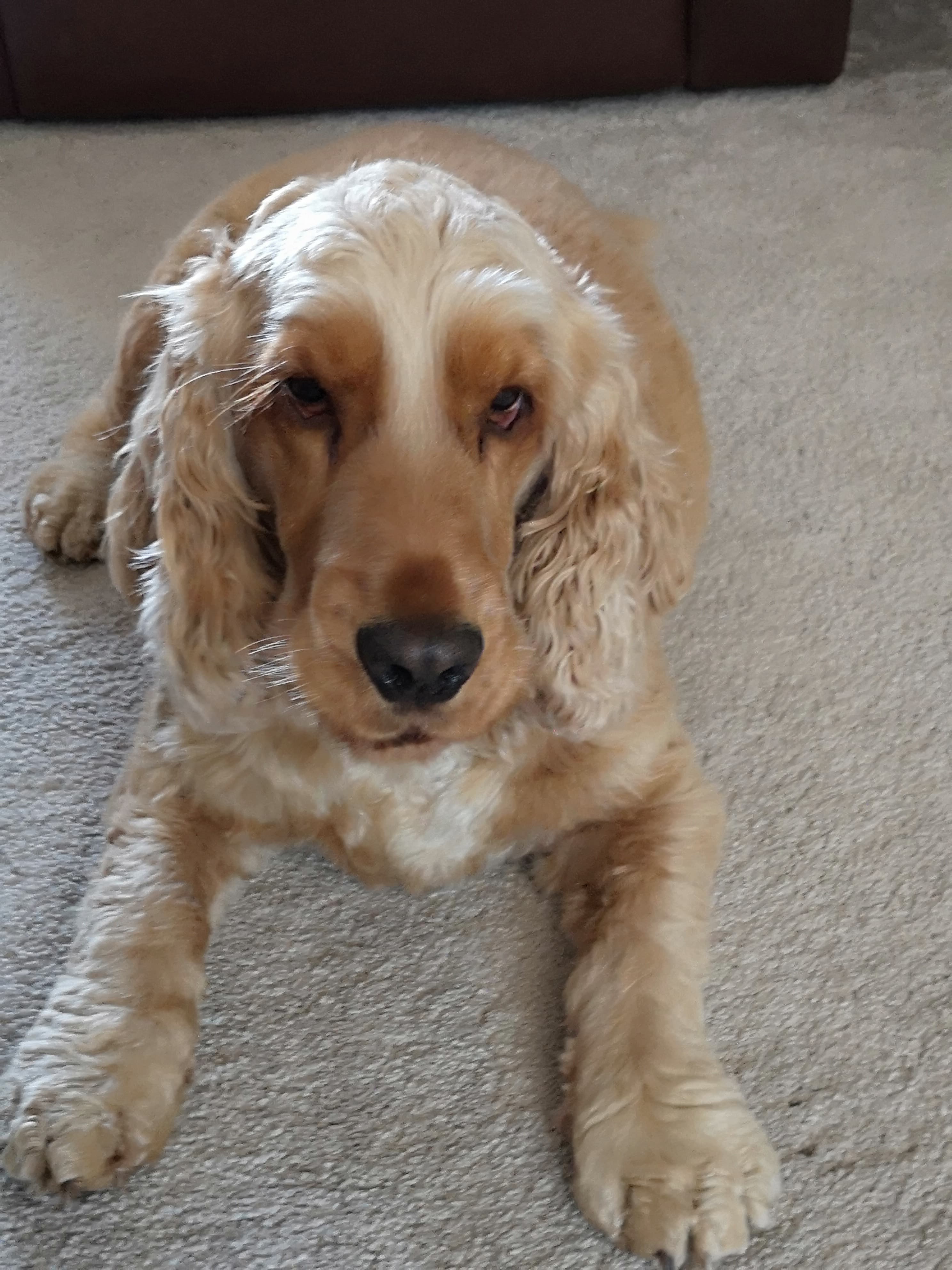 89e3280a-5e10-4ab7-a066-085ab0776619.jpeg (1)